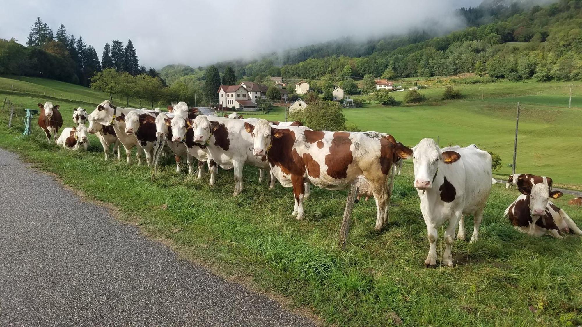 Un Pied Devant L'autre